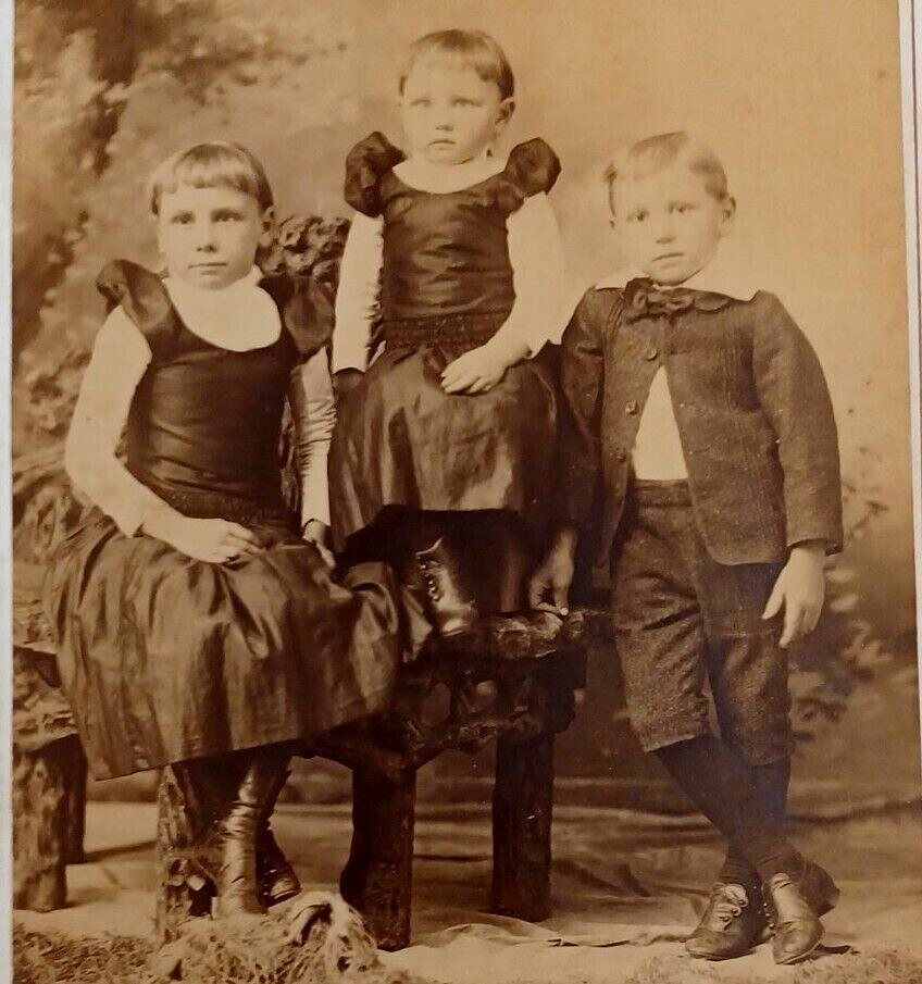 Cabinet Card Photo Three Children Well Dressed In Black Elliott Studio Marion IA Cabinet Card Photo Three Children Well Dressed In Black Elliott Studio Marion IA