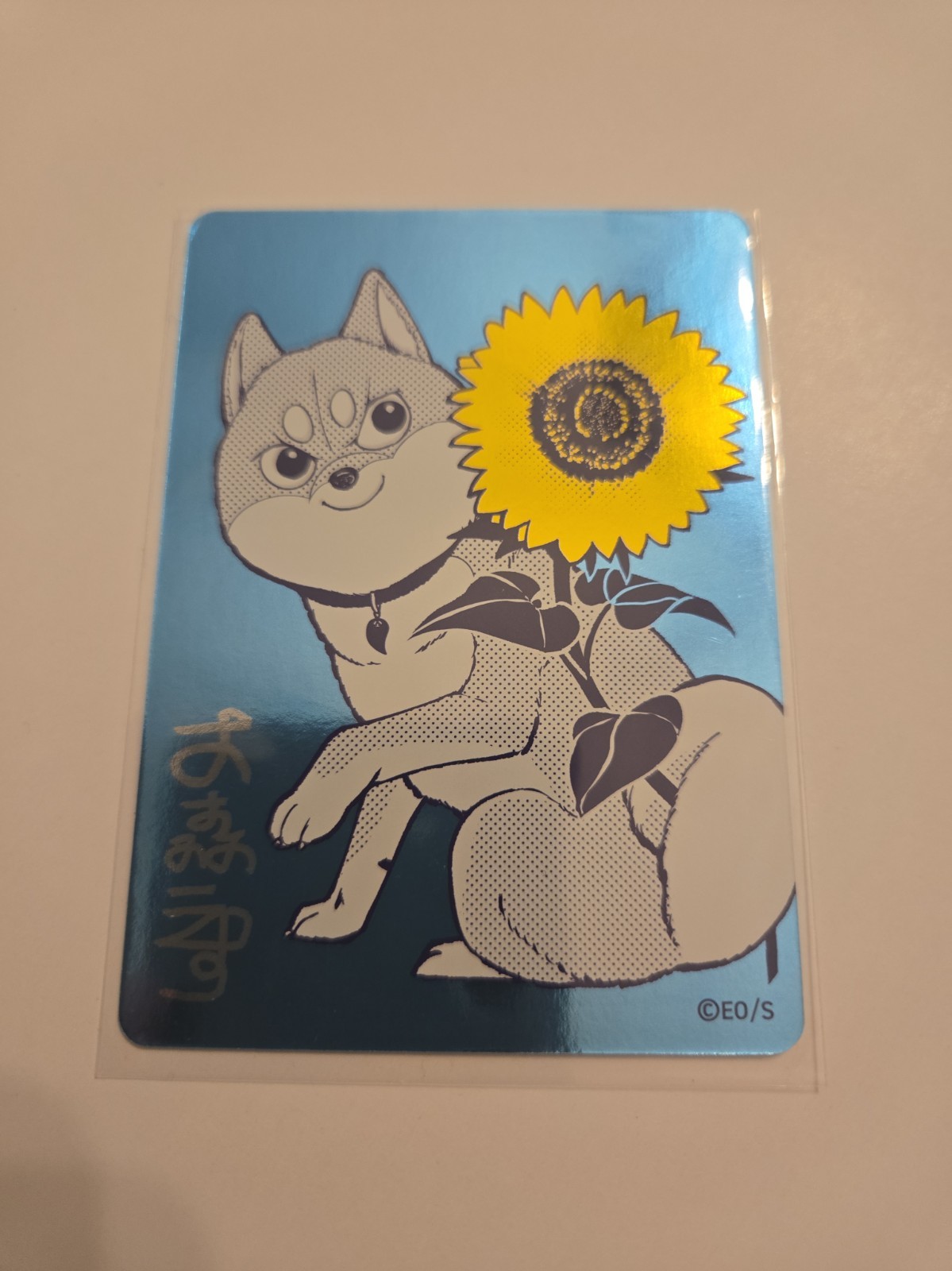 Shiba Inu Rooms - NatsuComi, Shueisha Summer Fair promo card (Japan 2026) JP dog