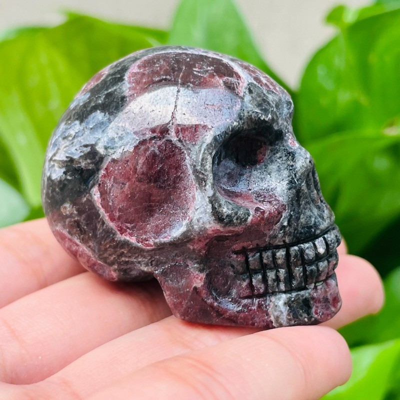2" Natural Garnet Skull Hand carved Quartz Skull Crystal Reiki Healing 1pc 2" Natural Garnet Skull Hand carved Quartz Skull Crystal Reiki Healing 1pc