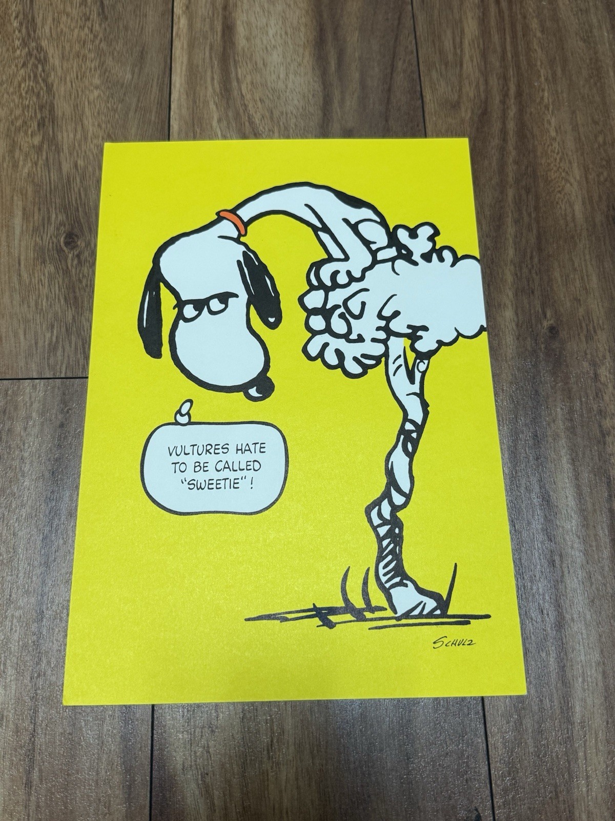 Rare Vintage 1960s Hallmark Peanuts Snoopy Poster Vultures Hate To Be Sweetie
