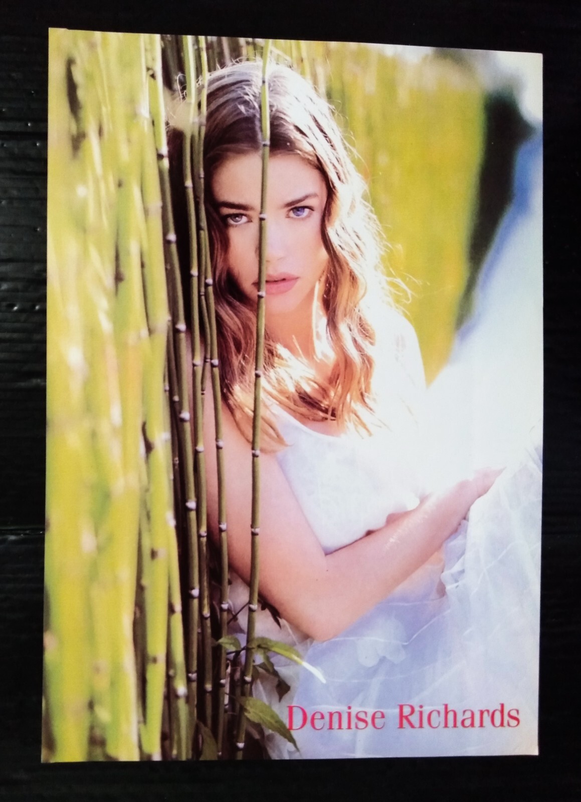 Denise Richards Meg Ryan Vintage Thailand ONLY 1 COLOR PAGE MEGA RARE Denise Richards Meg Ryan Vintage Thailand ONLY 1 COLOR PAGE MEGA RARE
