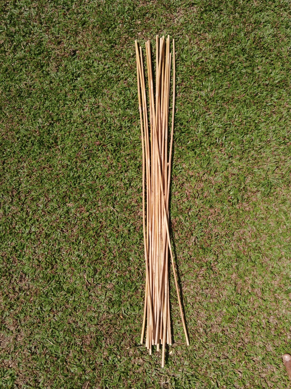 Rattan Cane Fresh Sticks 3pcs / Flexible / Natural (0.5-0.6 cm D / 40" length) Rattan Cane Fresh Sticks 3pcs / Flexible / Natural (0.5-0.6 cm D / 40" length)