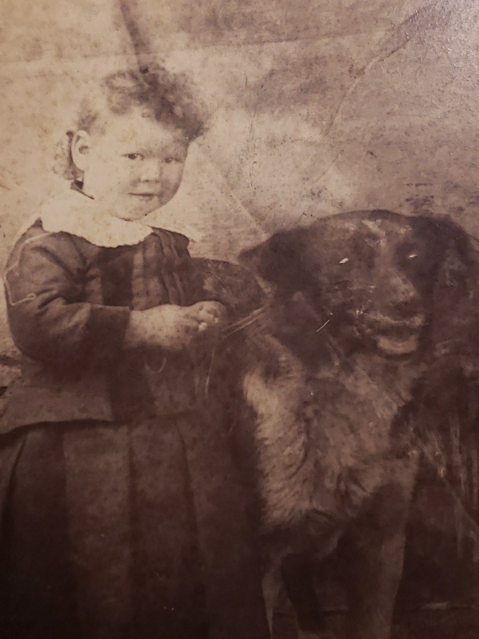 Antique 1890s Victorian Cabinet Card Photo Child in Pleated Dress & Shepherd Dog Antique 1890s Victorian Cabinet Card Photo Child in Pleated Dress & Shepherd Dog