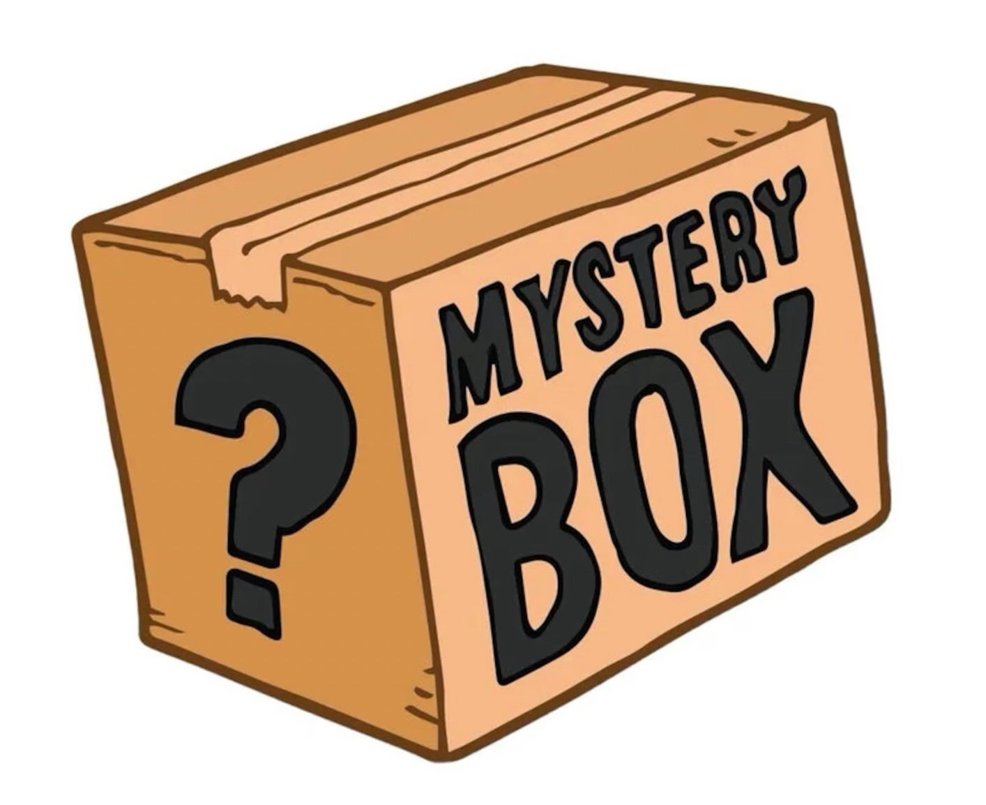 Premium Mystery Surprise Box Grab Bag Premium Mystery Surprise Box Grab Bag