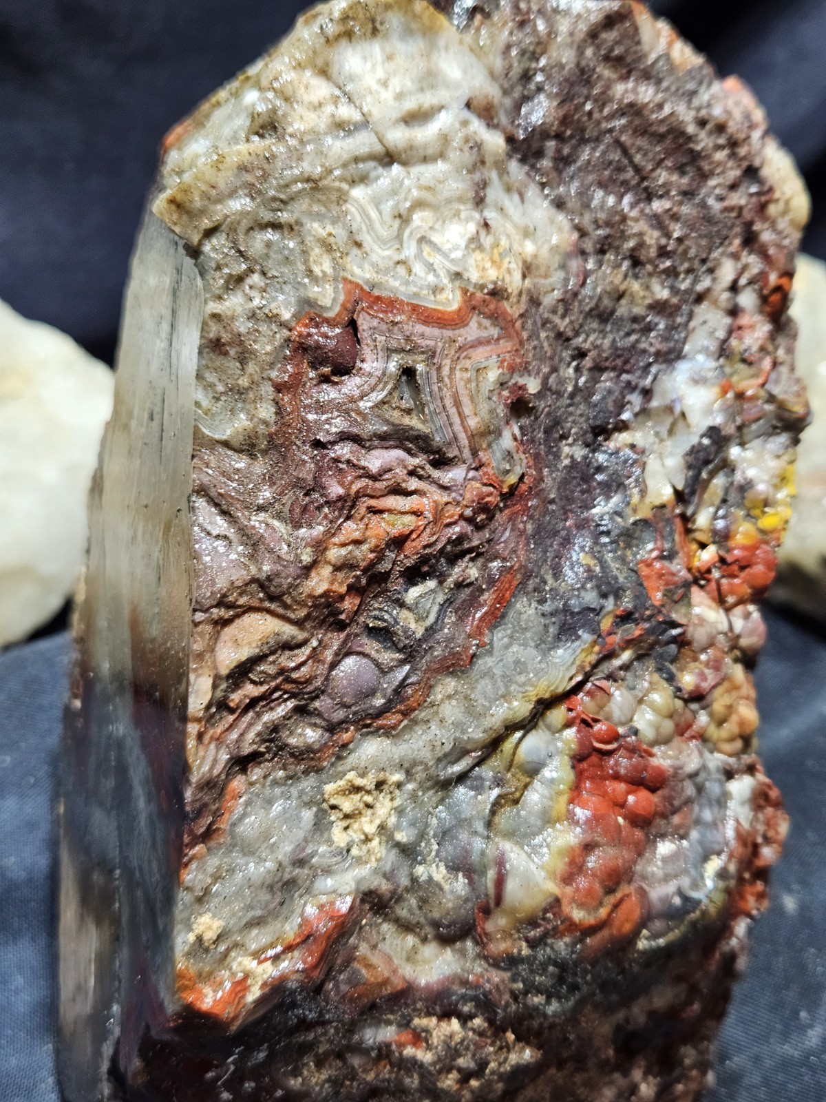 Mexican Crazy Lace Agate w/ Botryoidal and Vivid Colors Specimen (6lbs 6oz) Mexican Crazy Lace Agate w/ Botryoidal and Vivid Colors Specimen (6lbs 6oz)