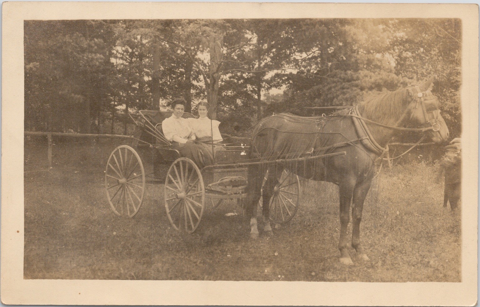 RPPC Central PA Women in Horse Buggy Carriage Jas Adelman Postcard c1910