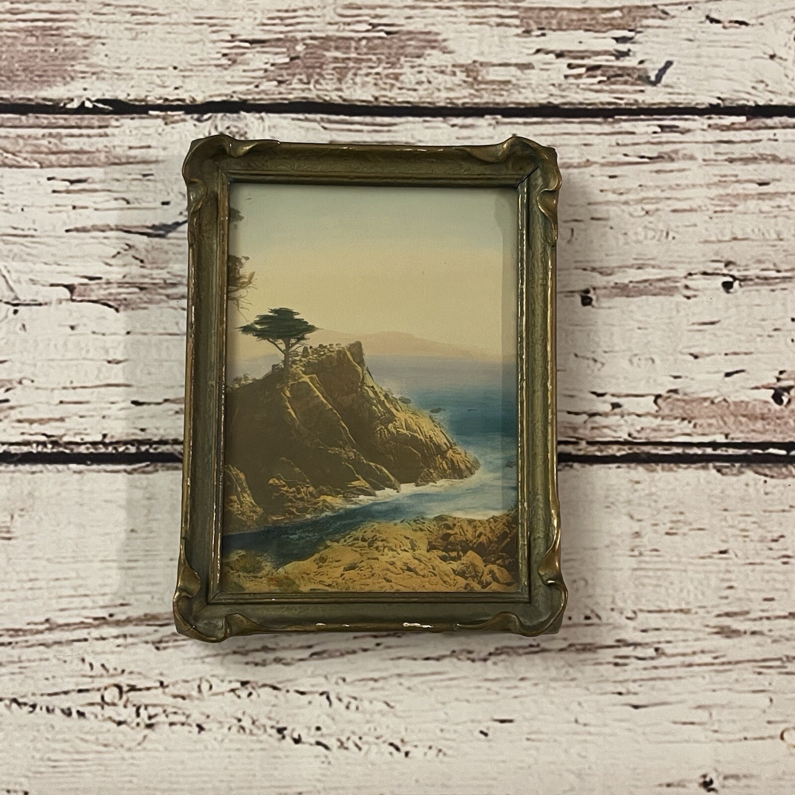 Antique Lone Cypress Monterey California Hand-Tinted Photo 1910 6x8 Rare Art Antique Lone Cypress Monterey California Hand-Tinted Photo 1910 6x8 Rare Art