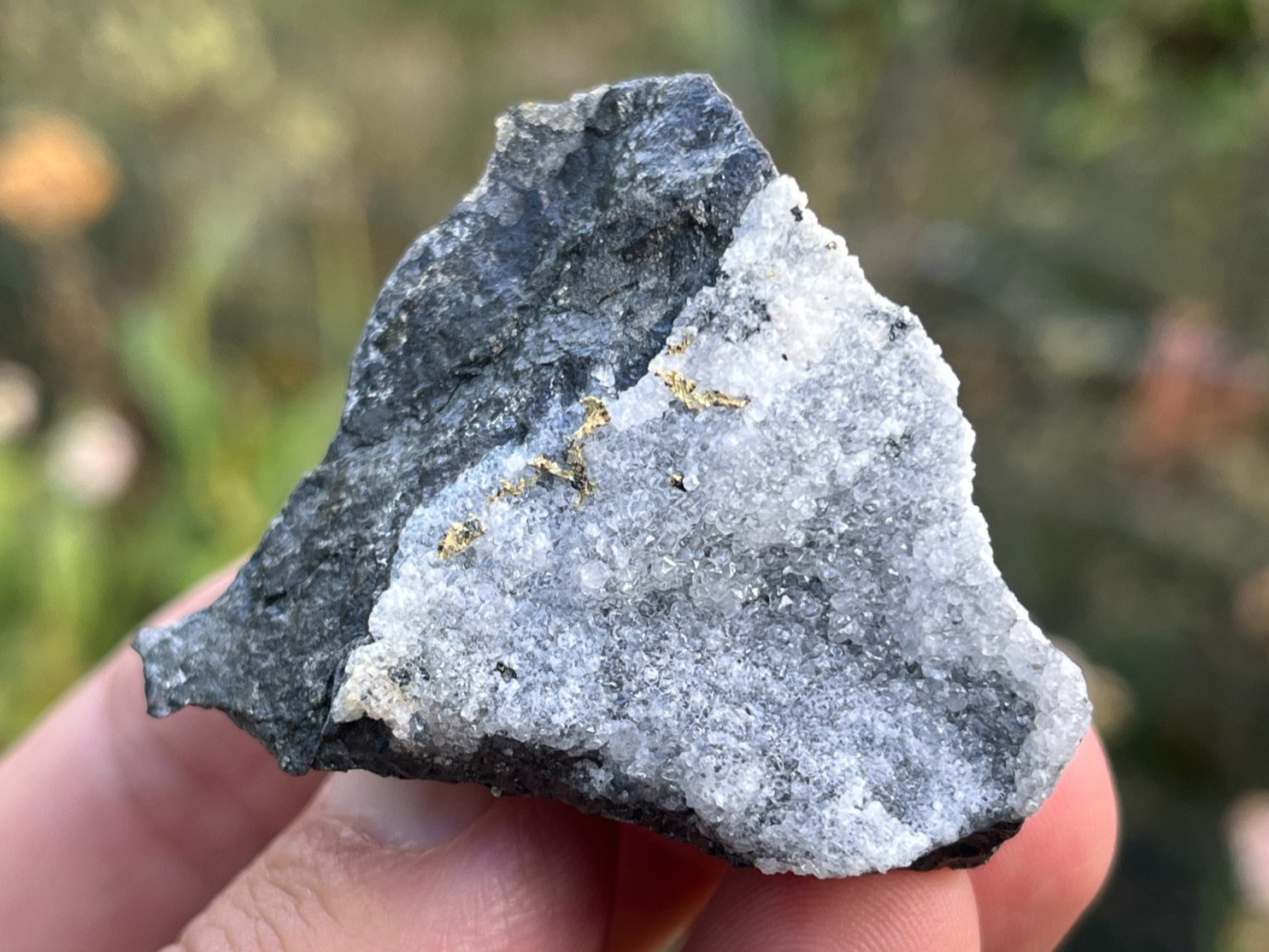 Crystallized Native Gold, Pyrite, etc. - McLaughlin Mine, Napa Co., California Crystallized Native Gold, Pyrite, etc. - McLaughlin Mine, Napa Co., California