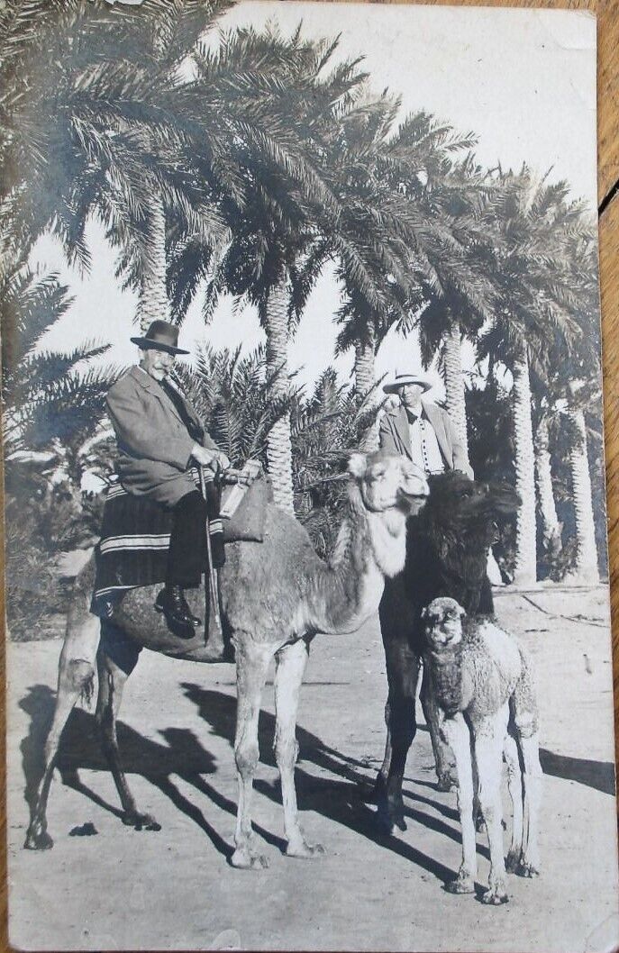 Basra, Algeria 1926 Realphoto Postcard, European Couple on Camels, North Africa