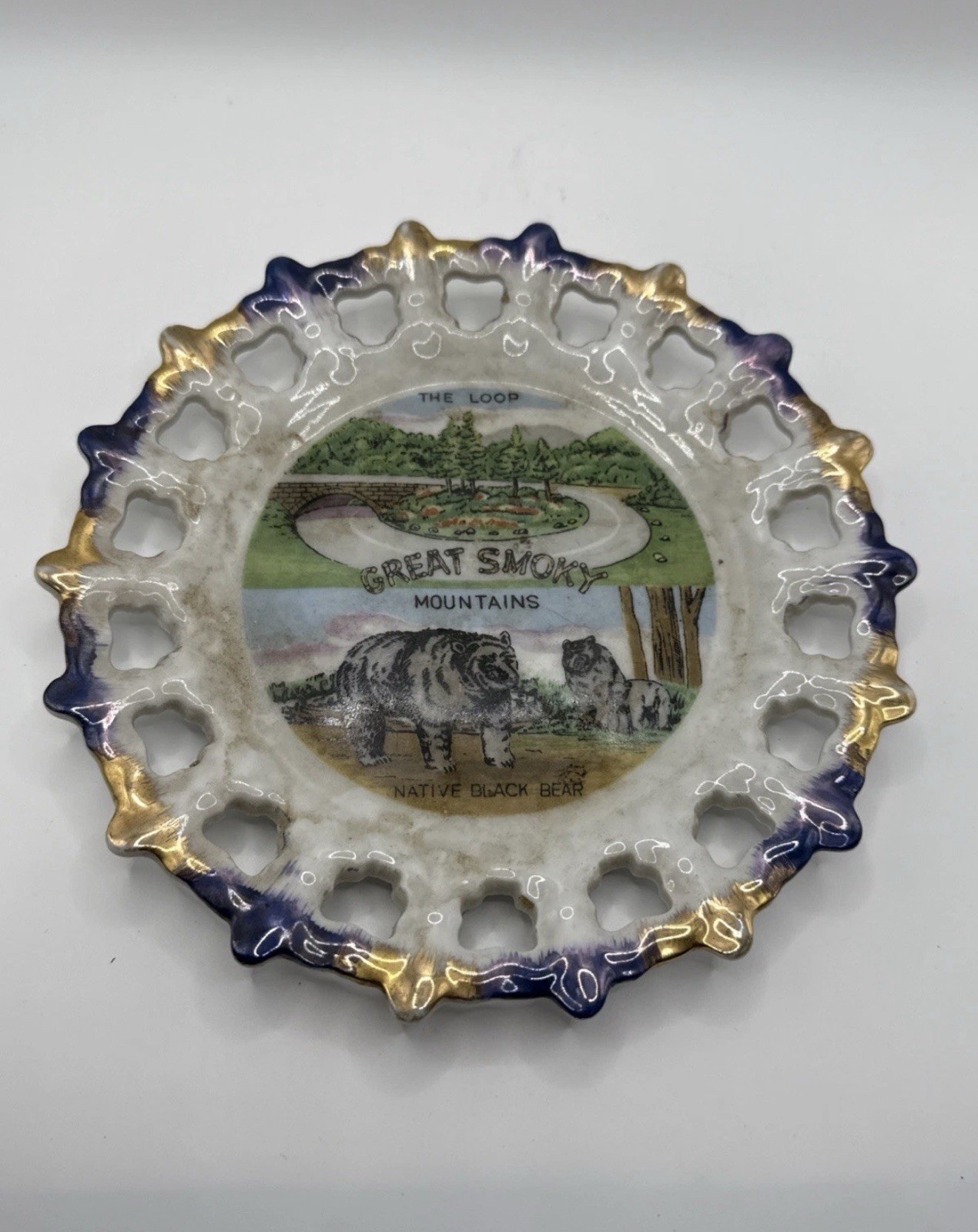 Vintage GREAT SMOKEY MOUNTAINS Souvenir Wall Hanger Porcelain Plate 7" VG 