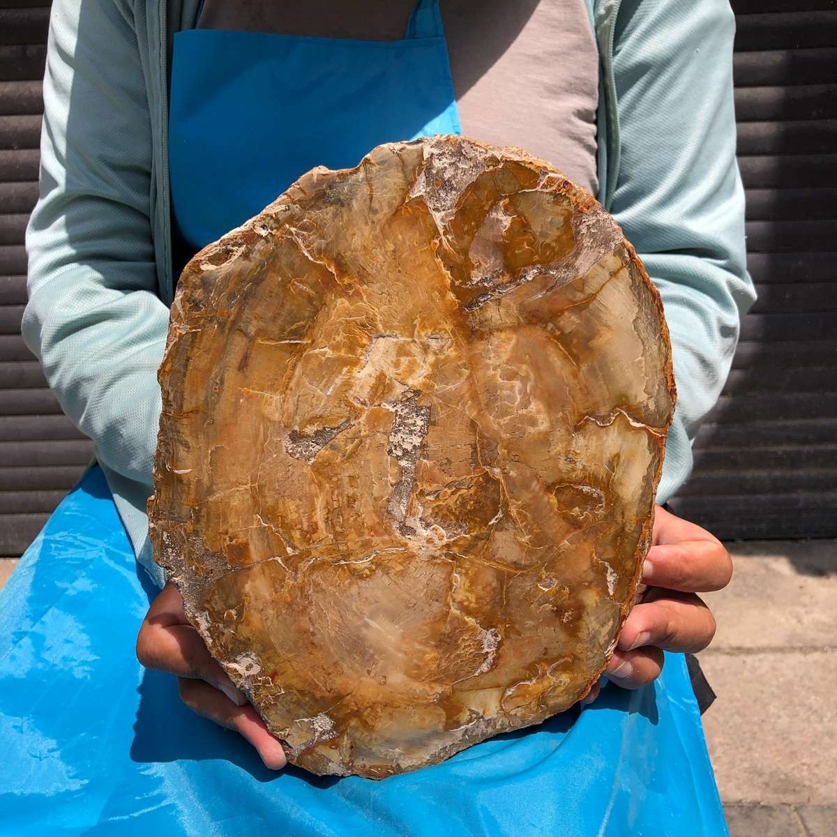 5.08LB Natural Petrified Wood Crystal Fossil Slice Crystal Specimen Healing 6377 5.08LB Natural Petrified Wood Crystal Fossil Slice Crystal Specimen Healing 6377
