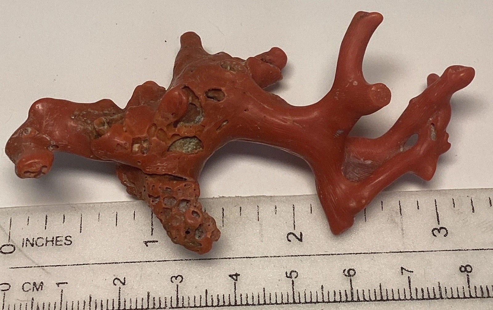 Large Branch Raw Red Coral Italy 23 Grams 3” #229 Large Branch Raw Red Coral Italy 23 Grams 3” #229
