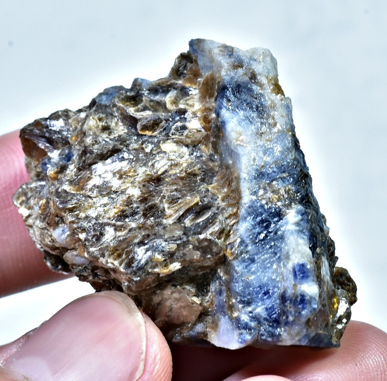 181 CT Natural Bi-Color Sapphire Huge Crystal On Mica @ Badakhshan Afghanistan