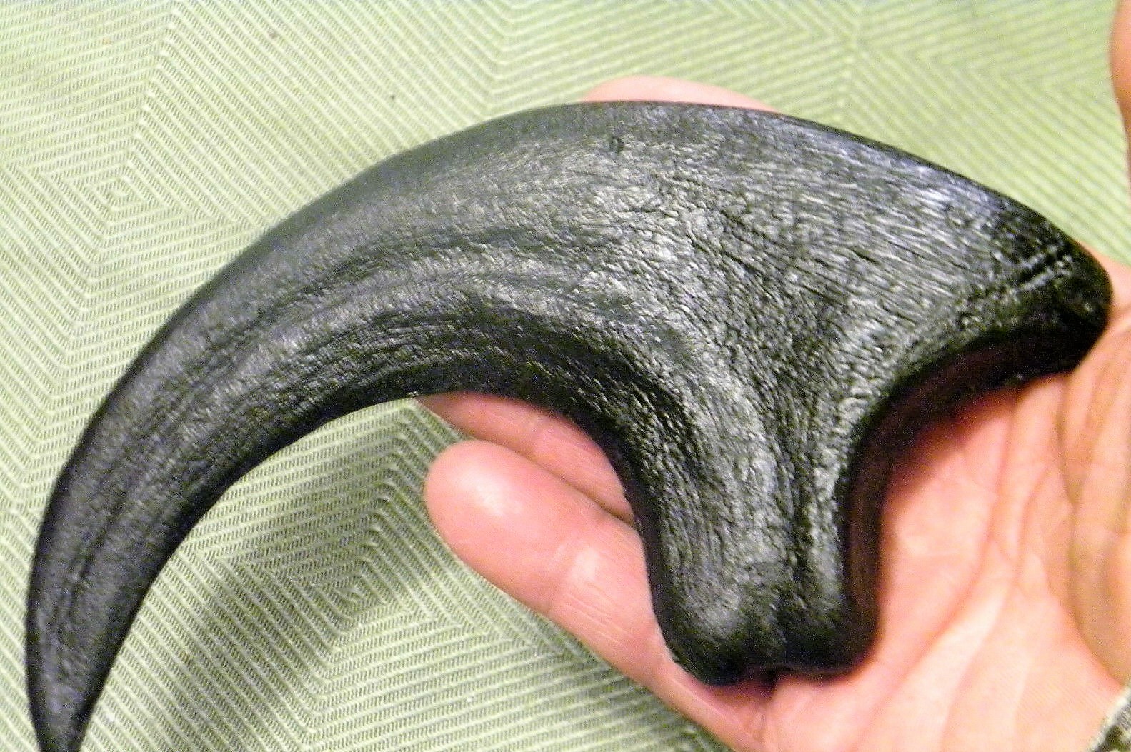 9 INCH RAPTOR CLAW REPLICA JURASSIC DINOSAUR FOSSIL NAIL UTAHRAPTOR TALON RELIC 9 INCH RAPTOR CLAW REPLICA JURASSIC DINOSAUR FOSSIL NAIL UTAHRAPTOR TALON RELIC
