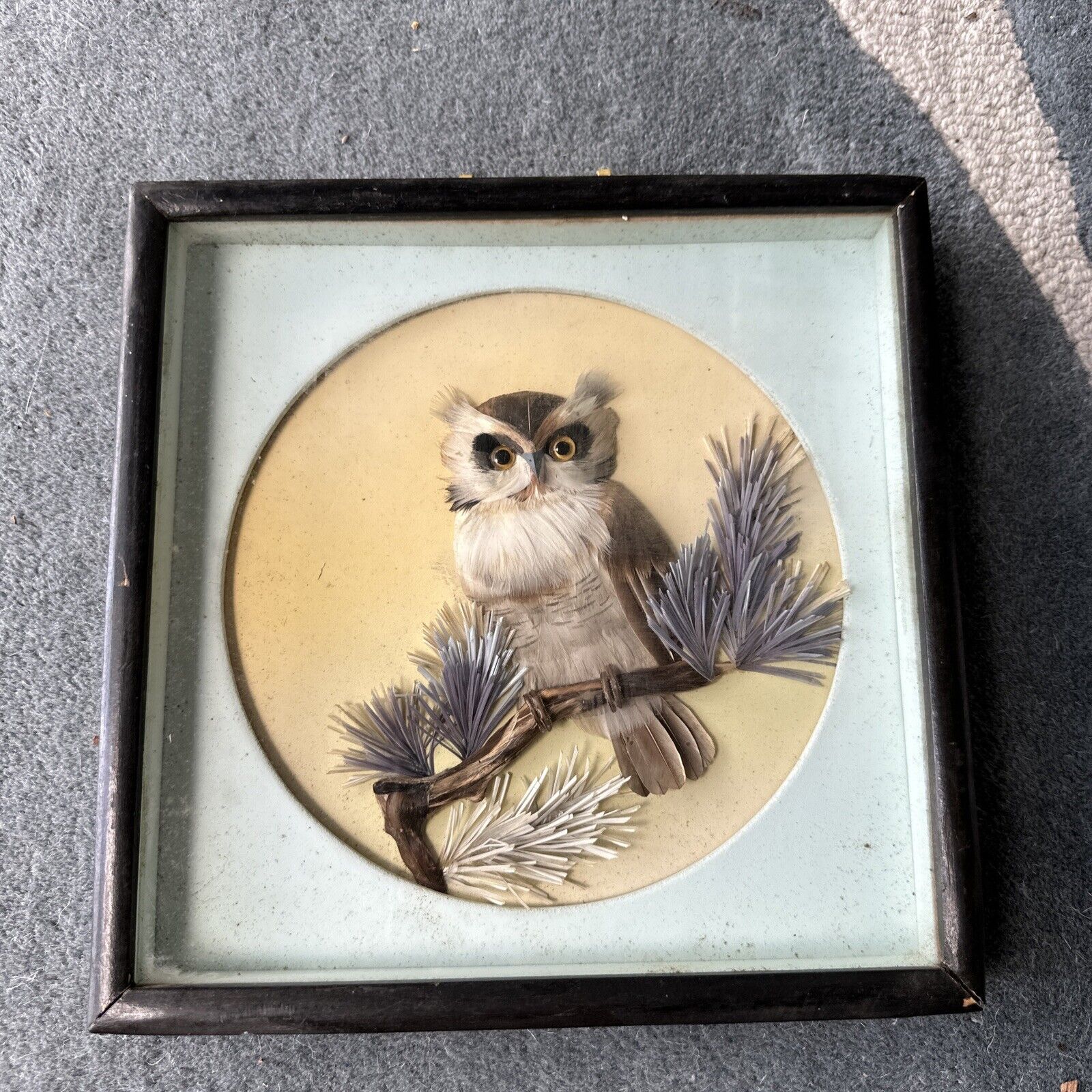 Vintage Miniature Shadow Box Minature Owl & Dried Flowers 10” X 10”