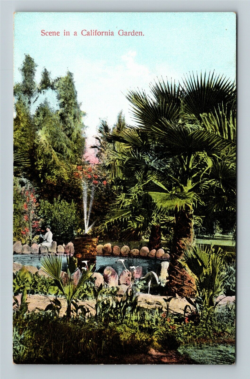 Scene In A California Garden Vintage Souvenir Postcard