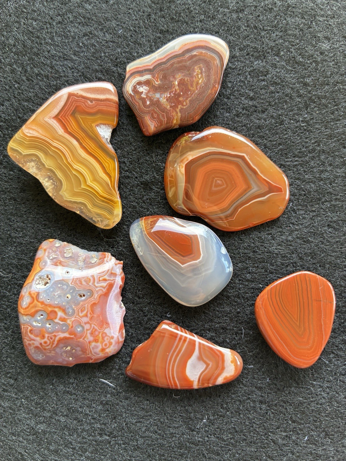 Lake Superior & Laguna Group of 7 Polished Slices 21 - 38 mm Lake Superior & Laguna Group of 7 Polished Slices 21 - 38 mm