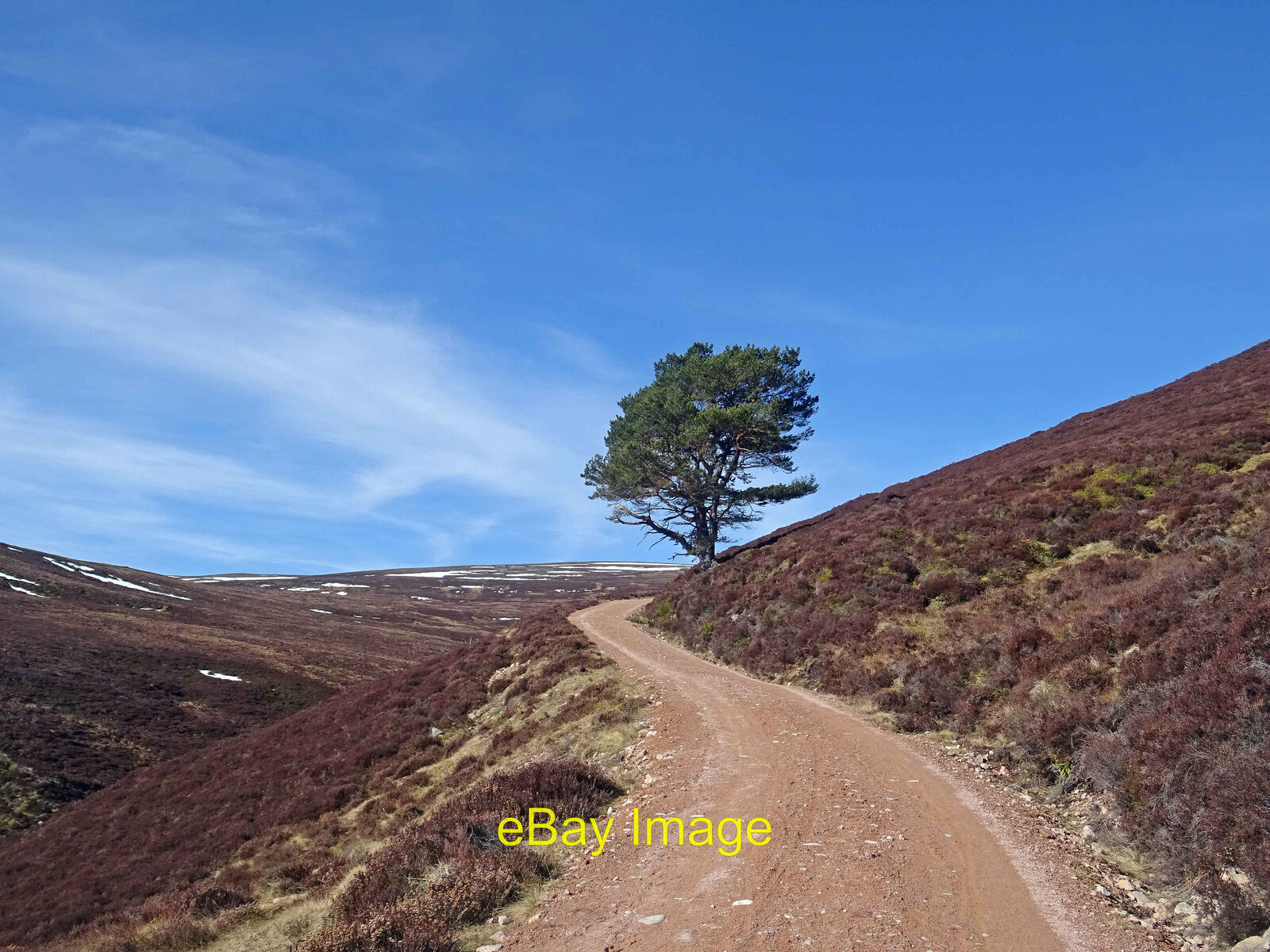 Photo 12x8 Lonesome Pine Alvie High up in the Burma Road on the way to the c2022
