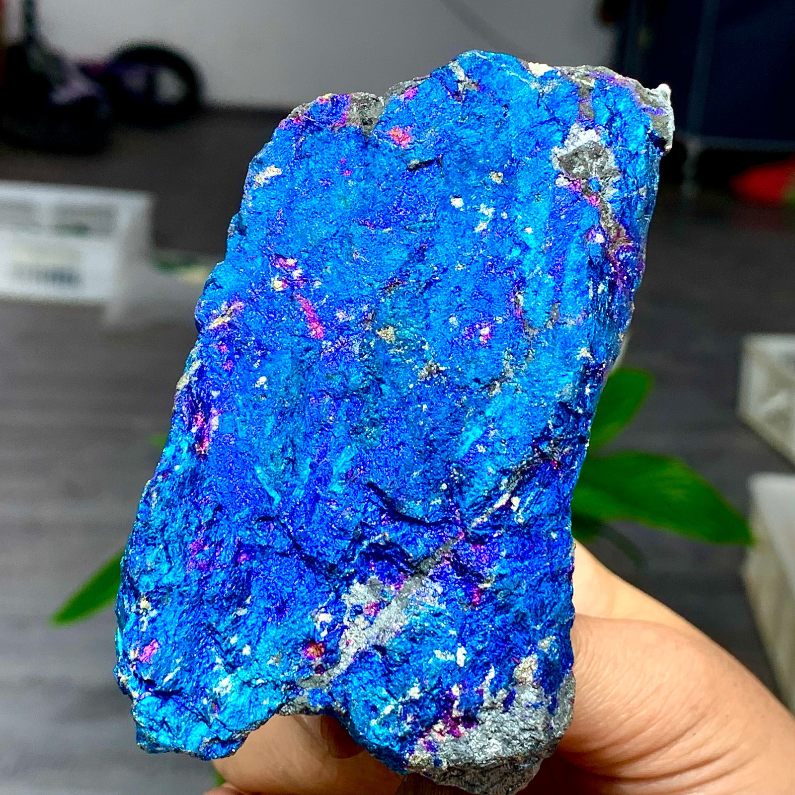 461G Rare Natural Beautiful Colorful Bornite Raw Mineral Crystal Healing 461G Rare Natural Beautiful Colorful Bornite Raw Mineral Crystal Healing