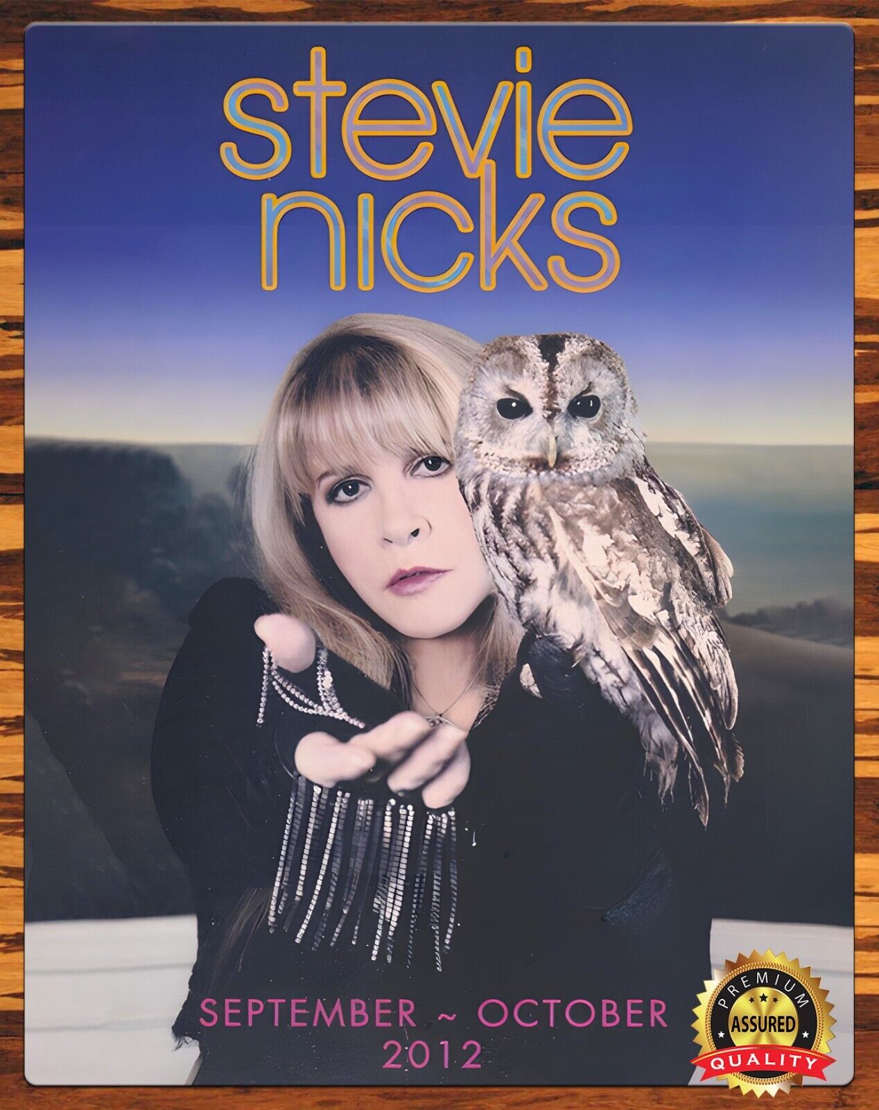 Stevie Nicks - Live In Concert - Tour 2012 - Rare - Metal Sign 11 x 14