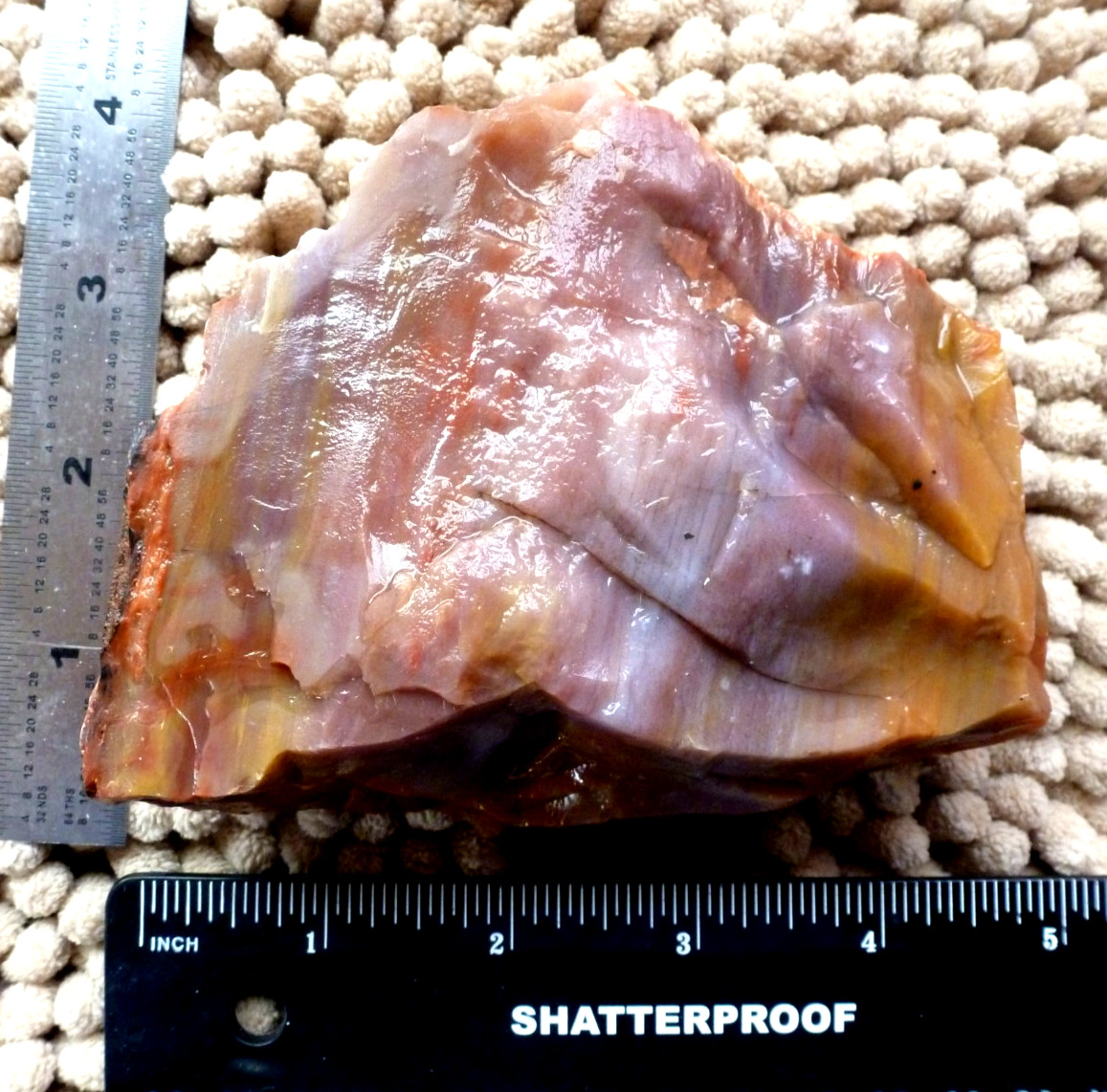 Arizona Rainbow Petrified Wood with Bark Beautiful Selection 1 lb 5 oz Arizona Rainbow Petrified Wood with Bark Beautiful Selection 1 lb 5 oz