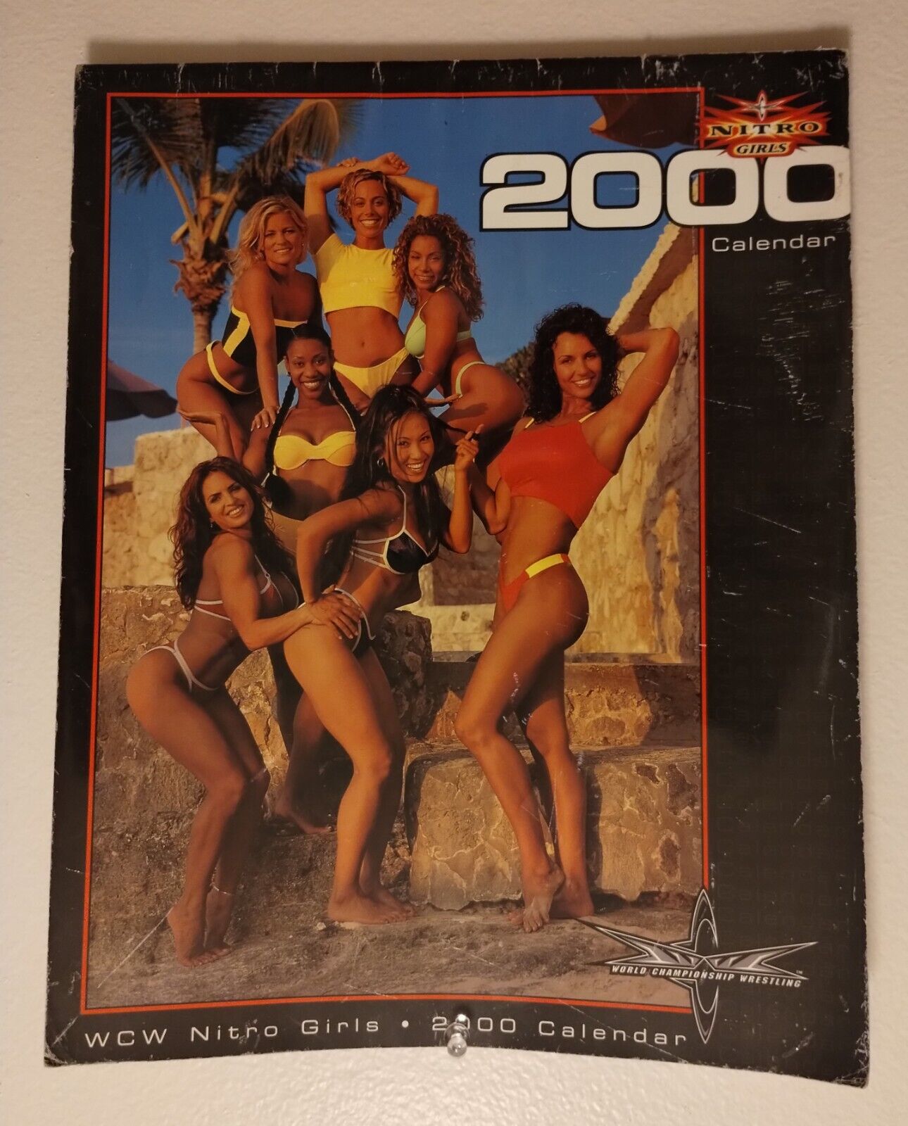 Vintage 2000 WCW Nitro Girls (16 Month) Calendar