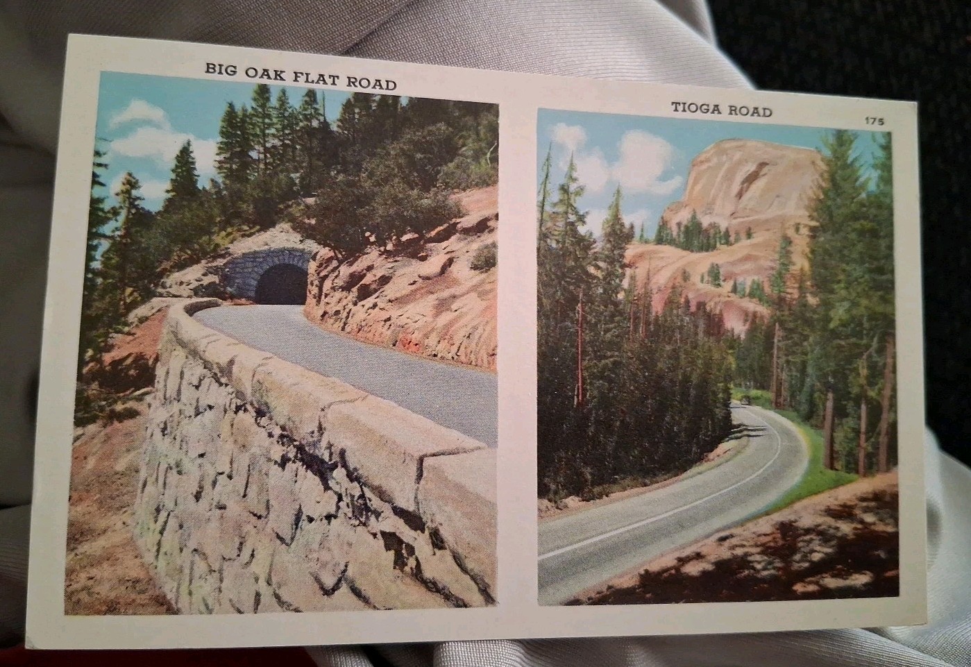 Big Oak Flat Road and Tioga Road California Postcard Big Oak Flat Road and Tioga Road California Postcard