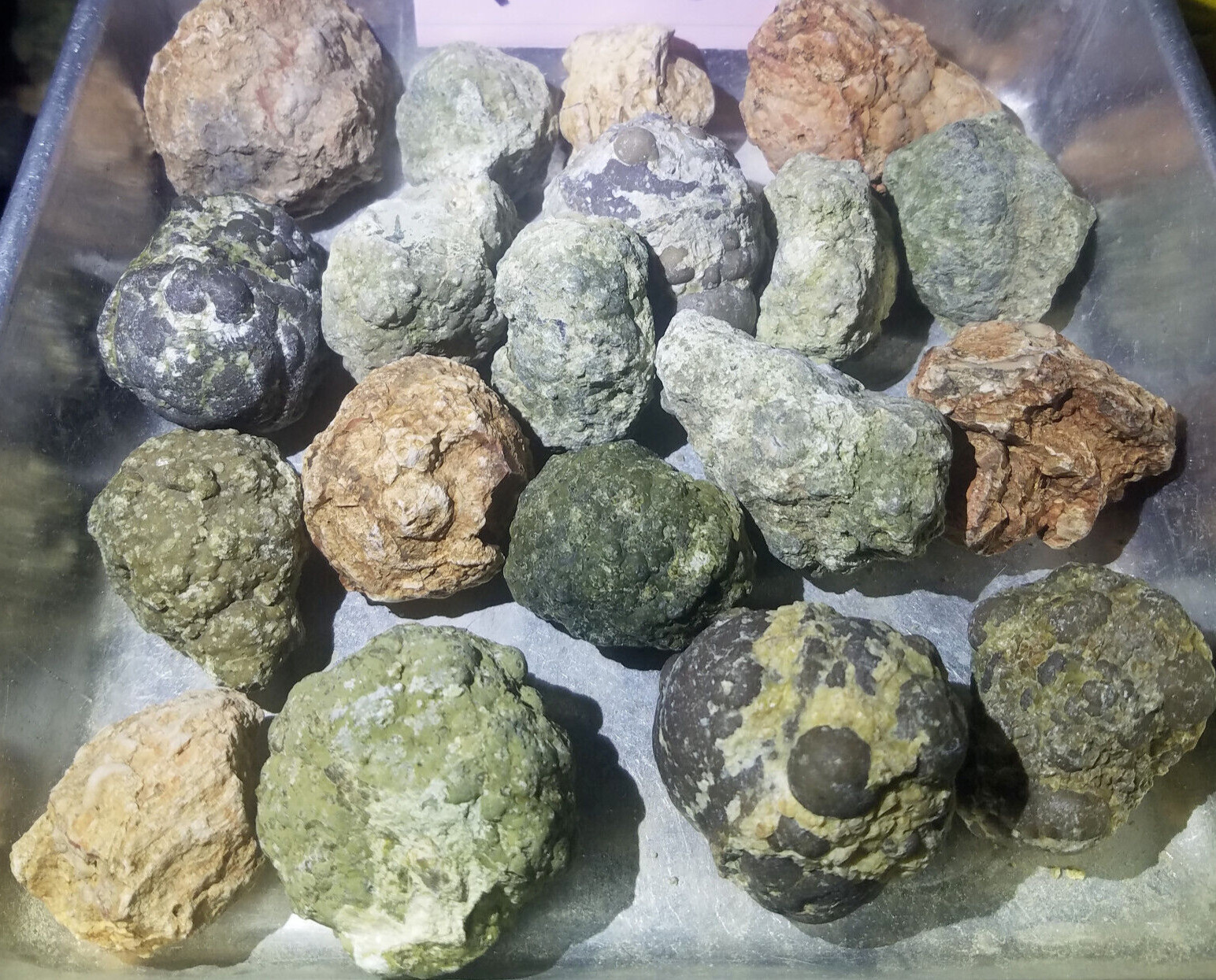 (5 lb LOT) = ( 15 to 19 Uncut Rough Oregon Thundereggs) Wildcat Beds Old Stock (5 lb LOT) = ( 15 to 19 Uncut Rough Oregon Thundereggs) Wildcat Beds Old Stock