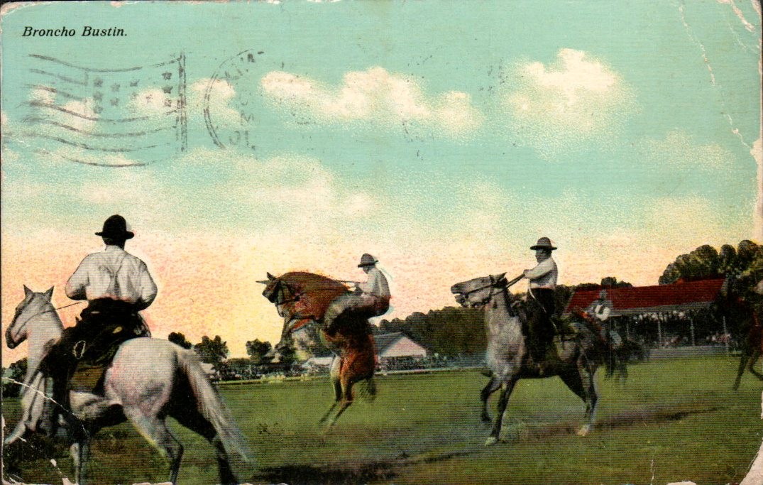 Phoenix Arizona - Broncho Bustin Cowboys Rodeo - Antique Postcard - 1910