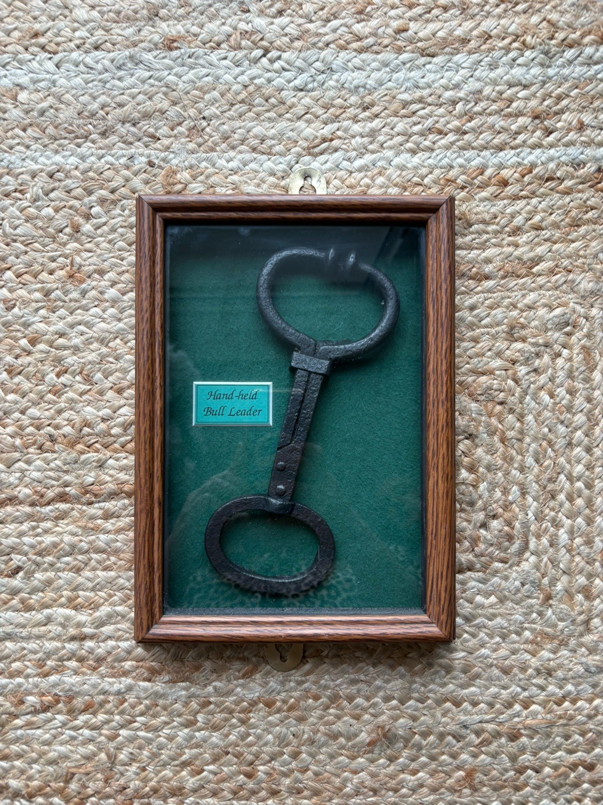 Vintage Framed Hand-held Bull Leader Antique Farmhouse Livestock Tool Wall Art Vintage Framed Hand-held Bull Leader Antique Farmhouse Livestock Tool Wall Art