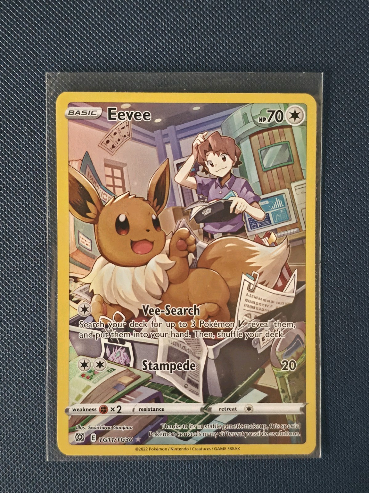 Eevee TG11/TG30 Ultra Rare Trainer Gallery Card Brilliant Stars NM Condition Eevee TG11/TG30 Ultra Rare Trainer Gallery Card Brilliant Stars NM Condition
