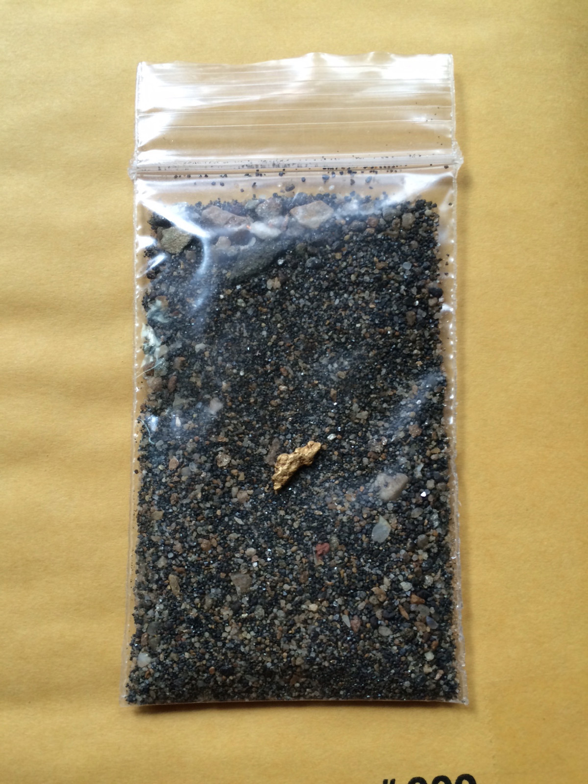 Buy our super Premium GOLD sluice paydirt concentrates 2 ounces Buy our super Premium GOLD sluice paydirt concentrates 2 ounces