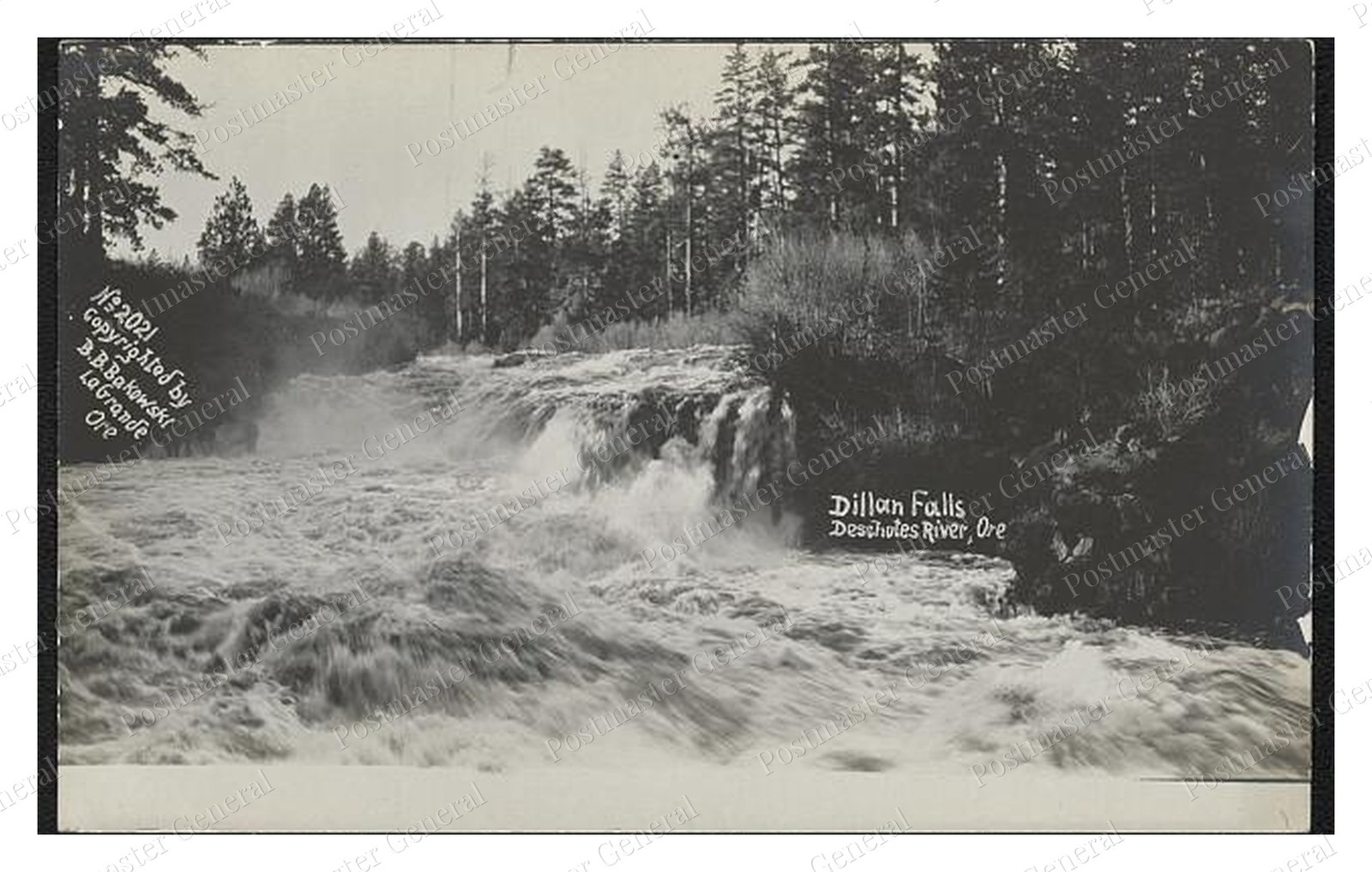 Deschutes River Oregon Dillan Falls Standard Postcard COPY RPPC Deschutes River Oregon Dillan Falls Standard Postcard COPY RPPC