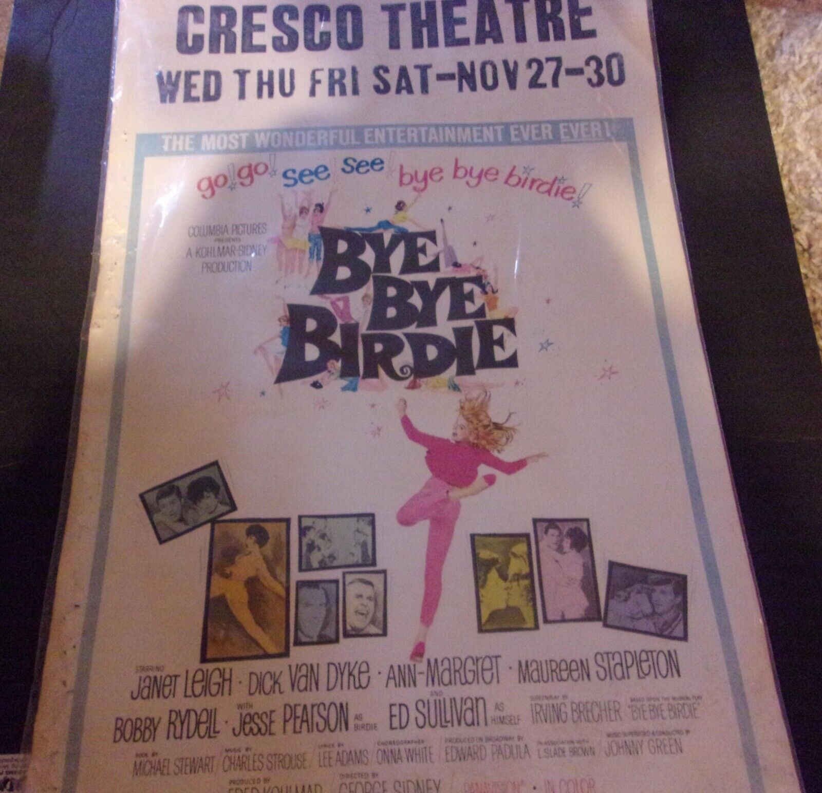 1963---Ann-Margret--Bye Bye Birdie---Movie Poster---14 x 22