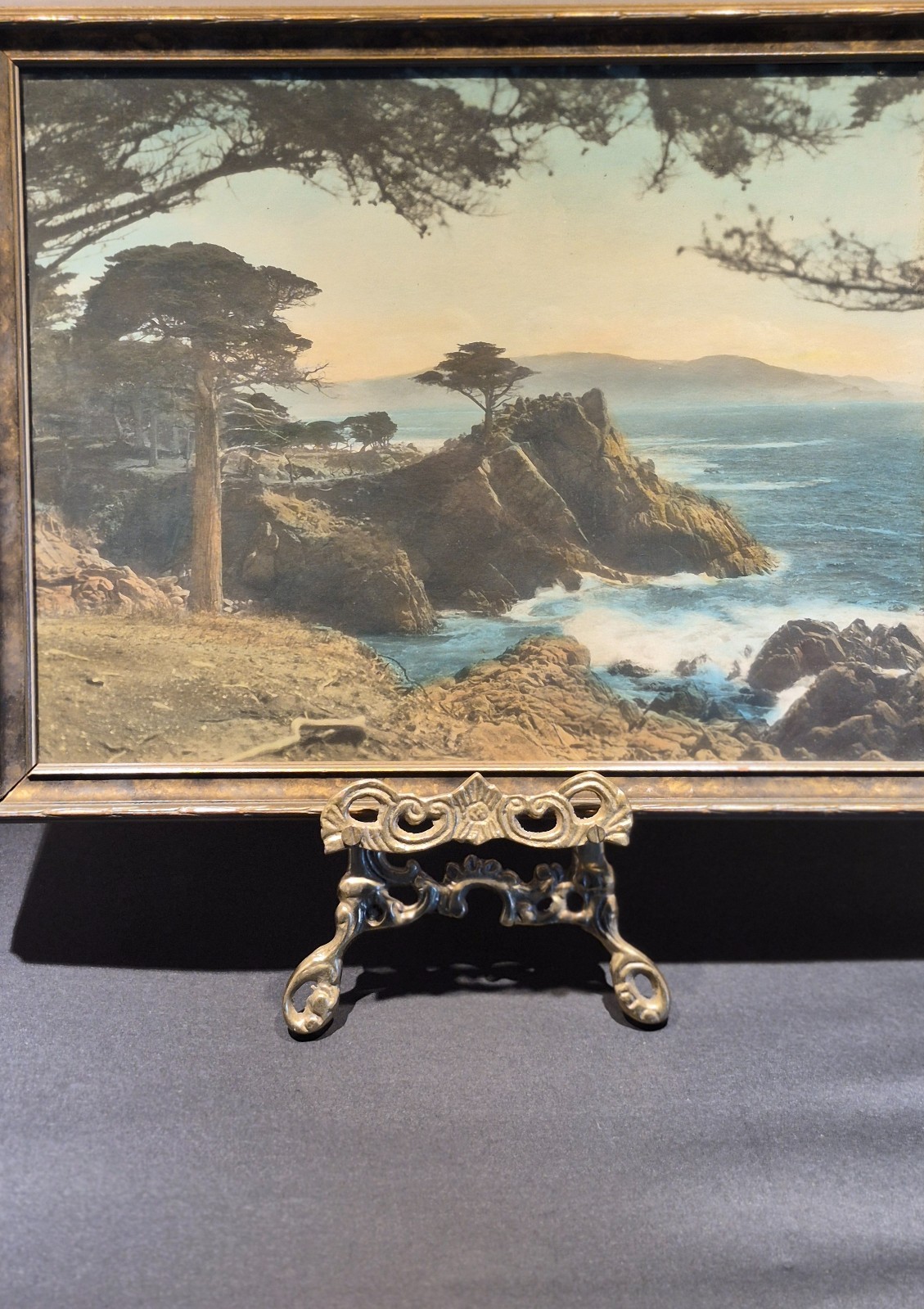 Antique Framed Lone Cypress Hand-Tinted Photo Coastal California, Exc Orig Frame