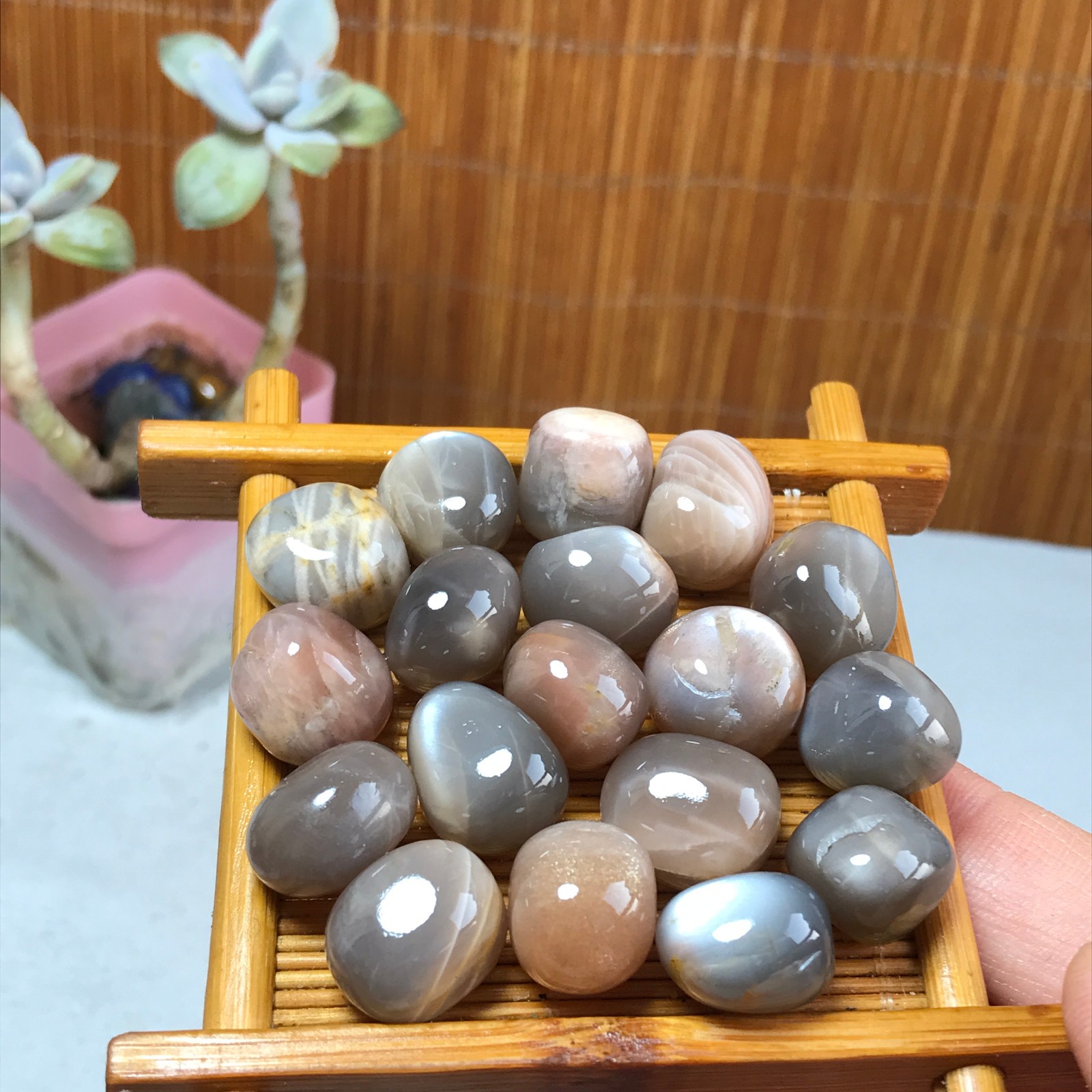 18Pcs NATURAL Black backbone crystal Polish specimens Tumbled 70g A3163 18Pcs NATURAL Black backbone crystal Polish specimens Tumbled 70g A3163
