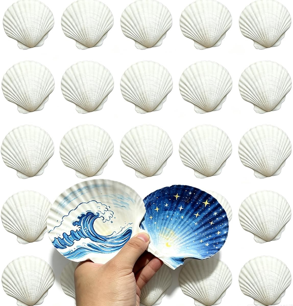 30 PCS Natural Sea Shells for Crafts 2-3 Inches White Bulk Scallop 30 PCS Natural Sea Shells for Crafts 2-3 Inches White Bulk Scallop
