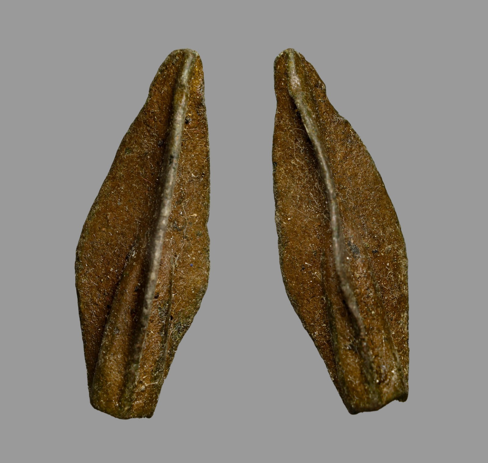 Ancient Roman Judaea Bronze War Arrowhead 31mm Jewish-Roman Wars Era Ancient Roman Judaea Bronze War Arrowhead 31mm Jewish-Roman Wars Era