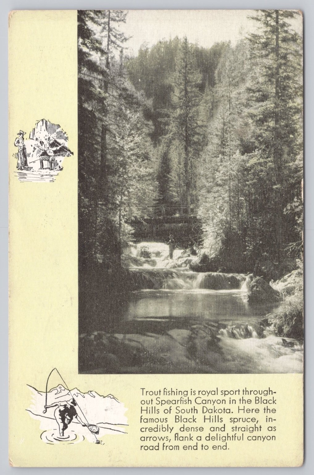 Vintage Spearfish Canyon Black Hills SD Trout Fishing Postcard 1935