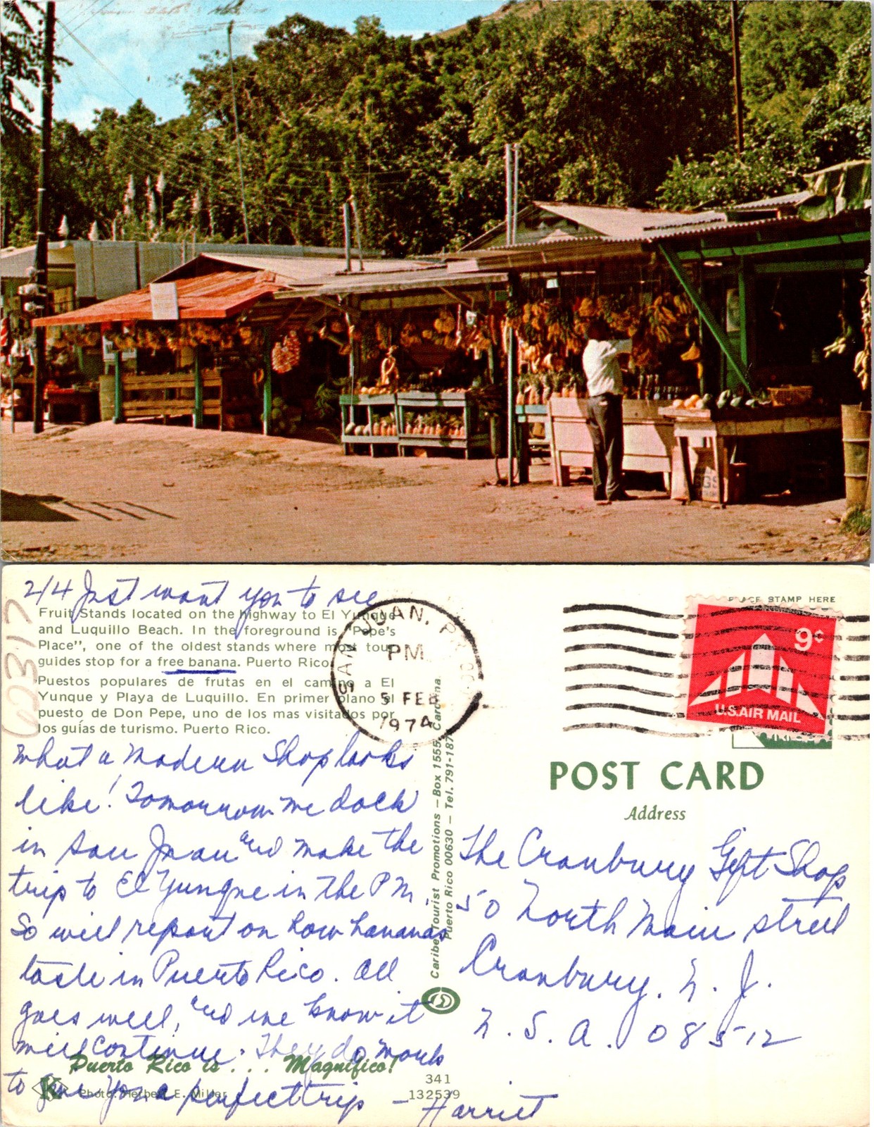Puerto Rico PR Fruit Stands On Hwy. Luquillo Beach Postcard 62317