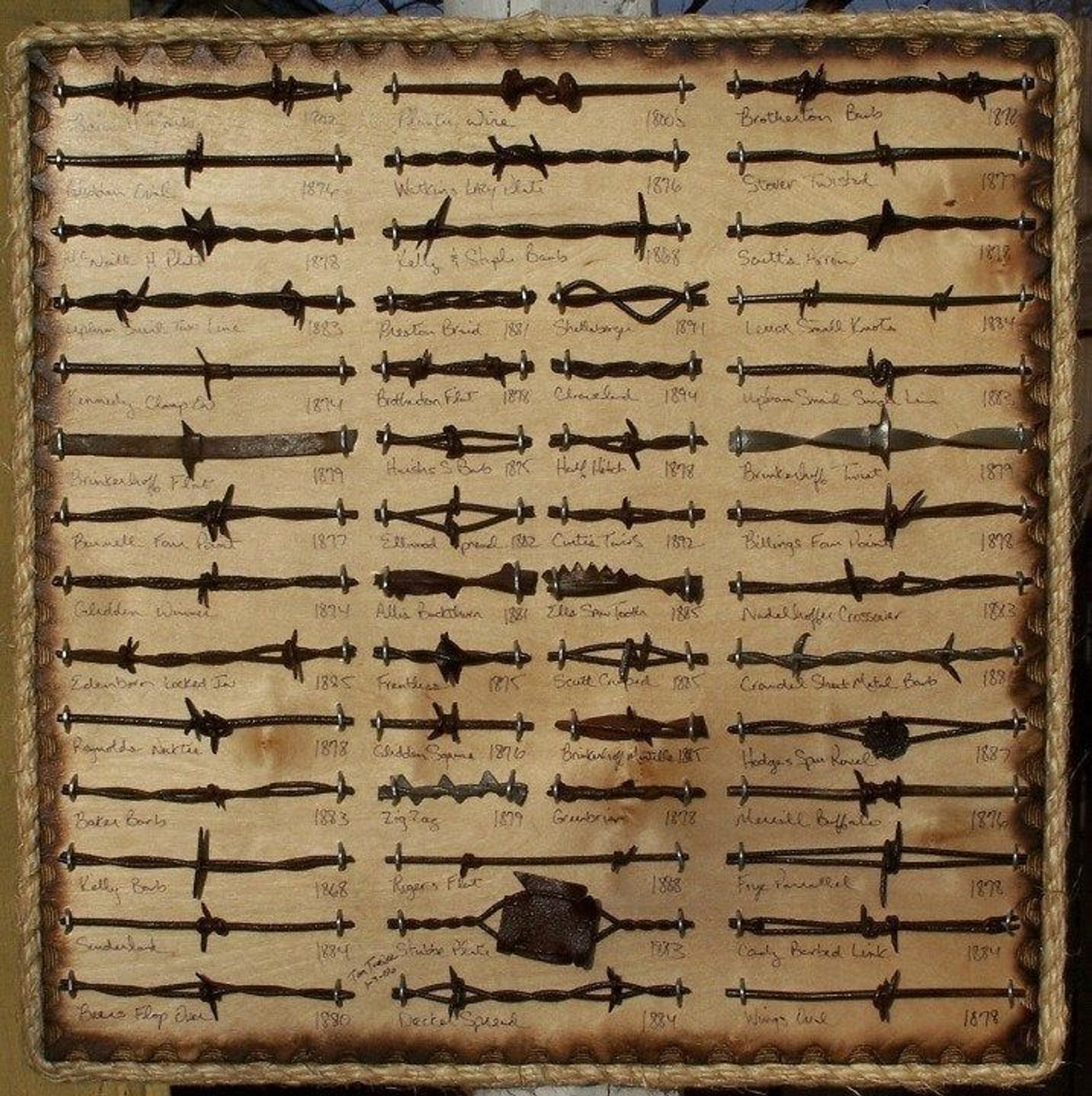 Antique Barbed Wire Display 50 cut's Authentic Barbwire Antique Barbed Wire Display 50 cut's Authentic Barbwire