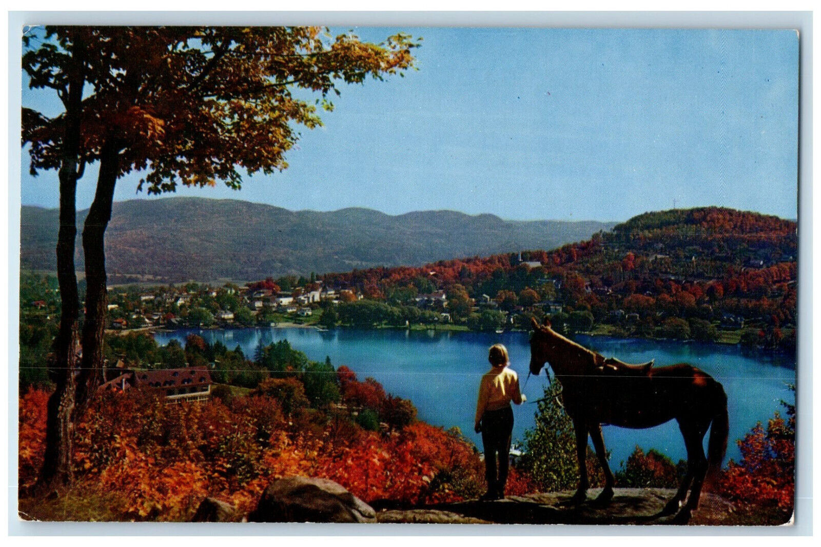 1963 Horse, from the Lookout Ste. Adele-en-haut Quebec Canada Postcard