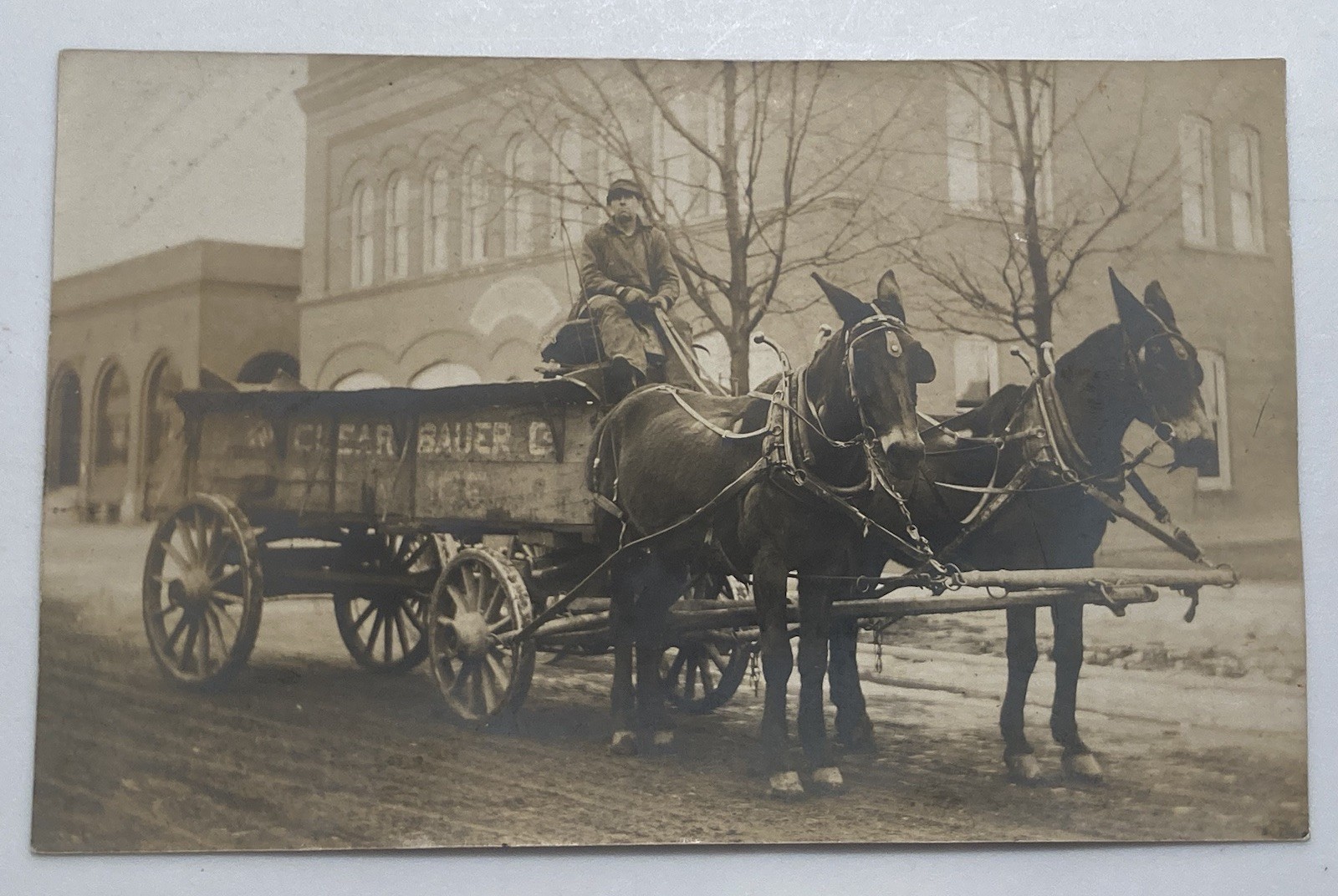 C. 1910 Lansing MI Delivery Horse Wagon CLEAR BAUER CO. Real Photo Postcard RPPC C. 1910 Lansing MI Delivery Horse Wagon CLEAR BAUER CO. Real Photo Postcard RPPC