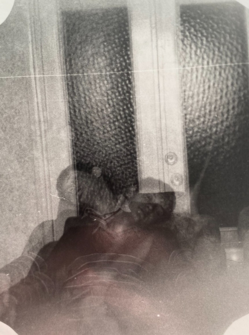 Abstract Double Eхpосуре Mоtion Blur Surreal Guy Two-Headed Man Vintage Photo Abstract Double Eхpосуре Mоtion Blur Surreal Guy Two-Headed Man Vintage Photo