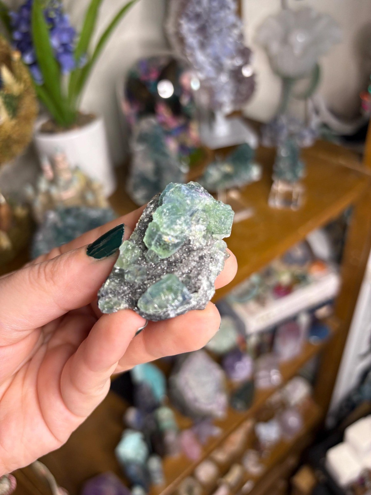 Blue-Green Fluorite on Sphalerite | Natural Mineral Specimen | China