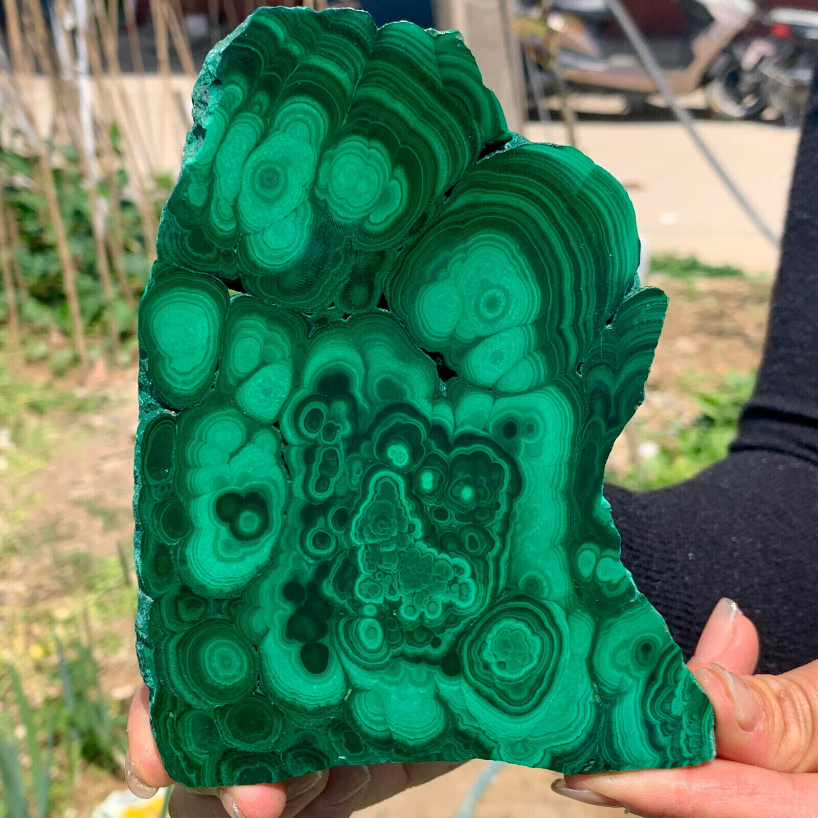 1.3LB Natural glossy Malachite transparent cluster rough mineral sample
