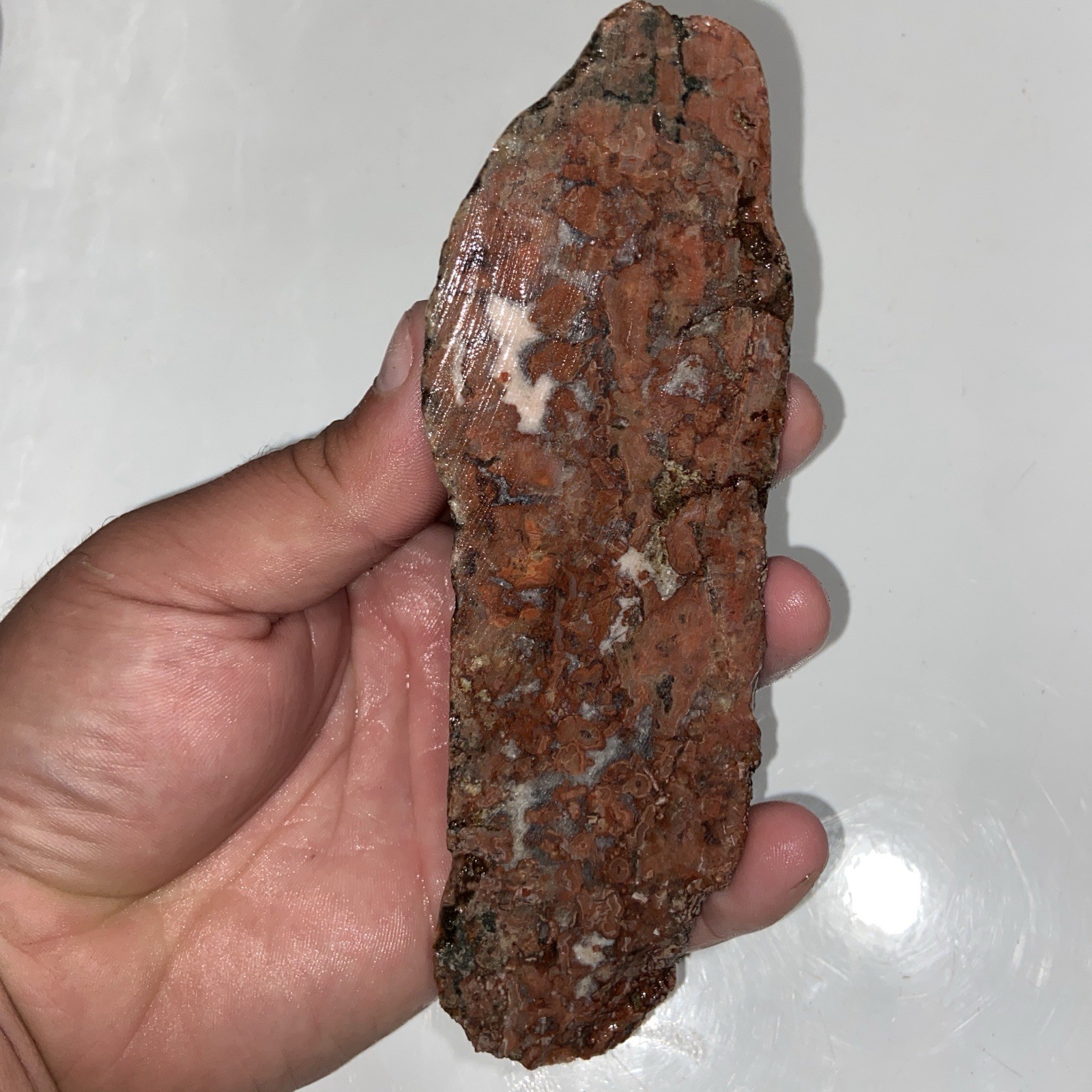 Unique Michigan Agate Lapidary Rough Stone 11.77 Oz Unique Michigan Agate Lapidary Rough Stone 11.77 Oz