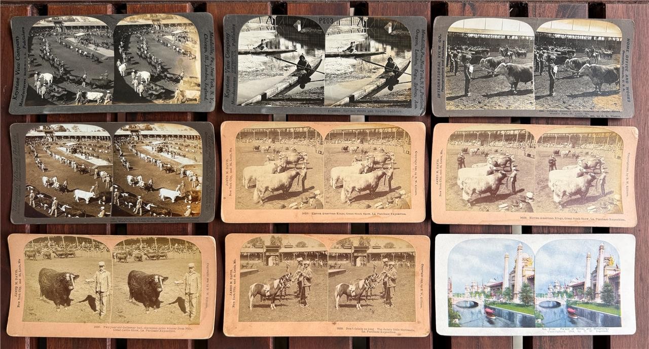 1904 Louisiana Purchase Expo St Louis Worlds Fair, Lot of 9 Stereoviews,Keystone 1904 Louisiana Purchase Expo St Louis Worlds Fair, Lot of 9 Stereoviews,Keystone