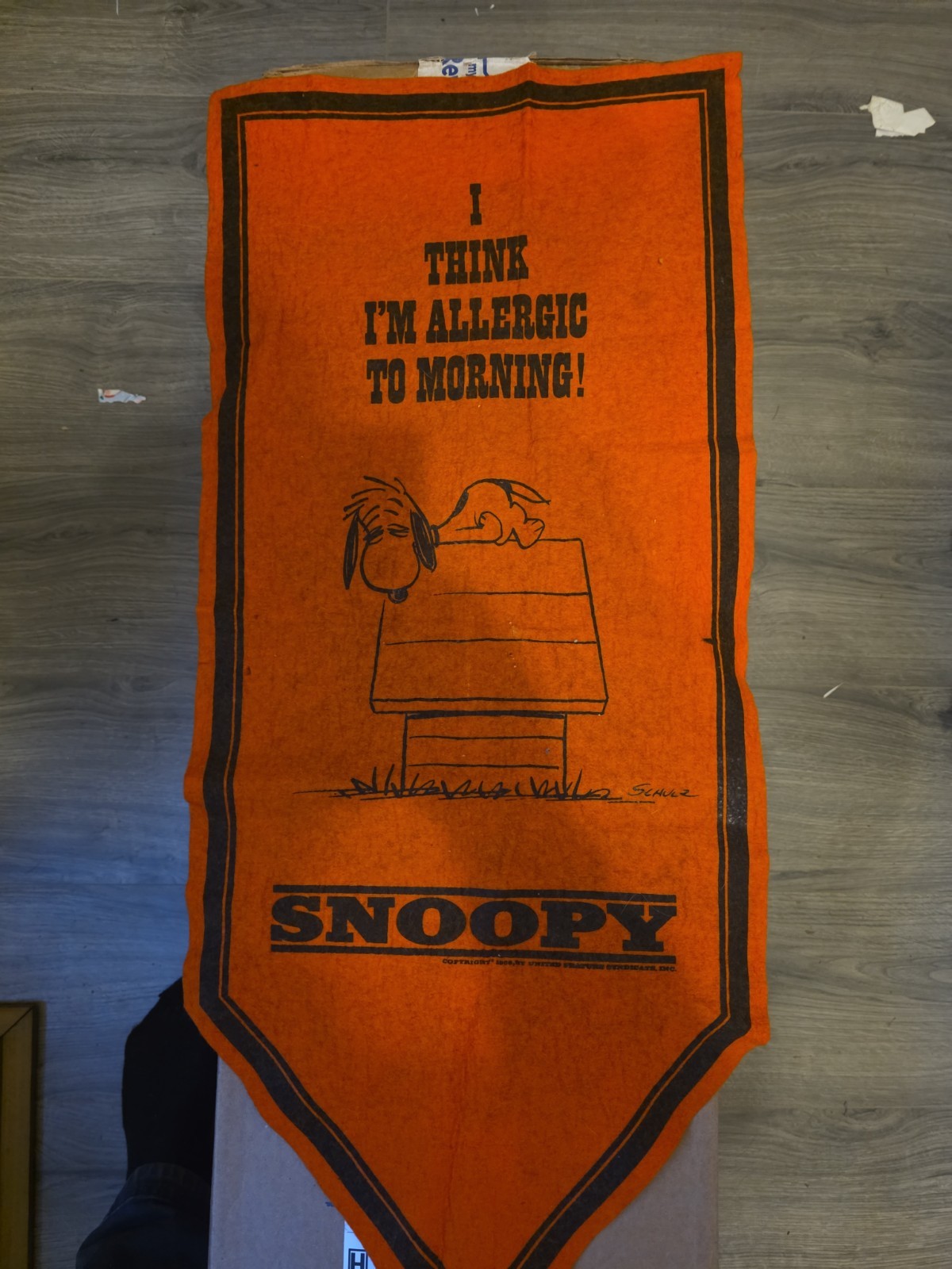 Vintage Peanuts I Think I'm Allergic To Morning Snoopy Orange Banner Pennant