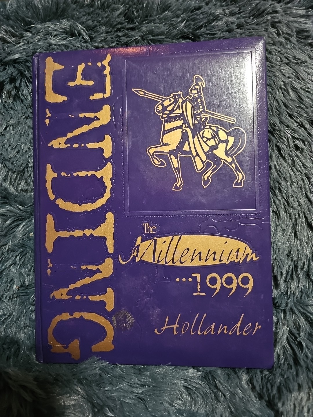 1999 High School Yearbook Holland Patent Ny Hollander